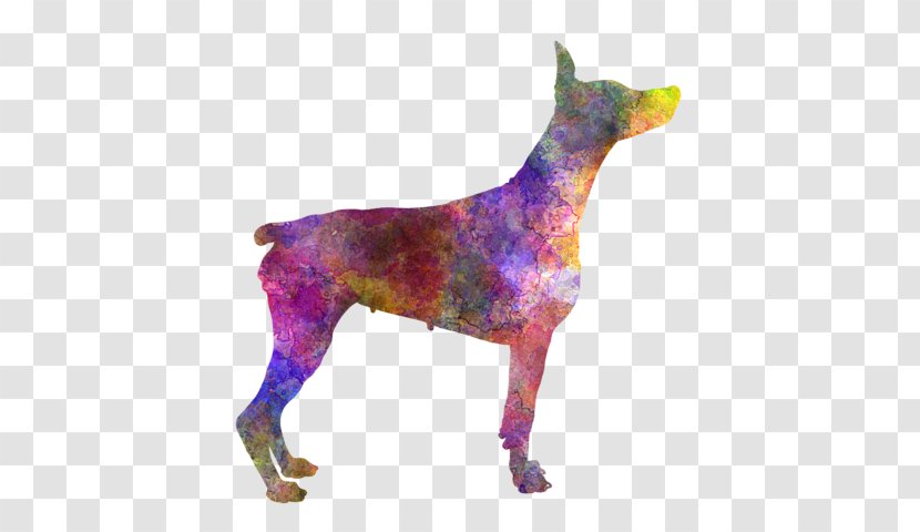 Dog Breed Dobermann Pinscher Guard Giclée - Romero Transparent PNG