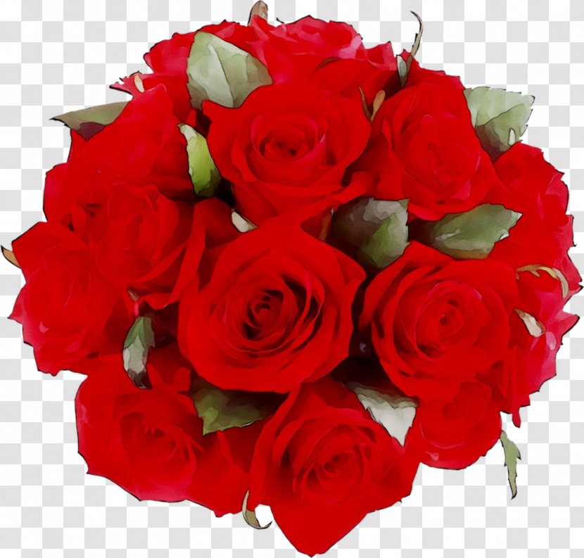 Garden Roses Clip Art Flower Image - Flowering Plant - Valentines Day Transparent PNG