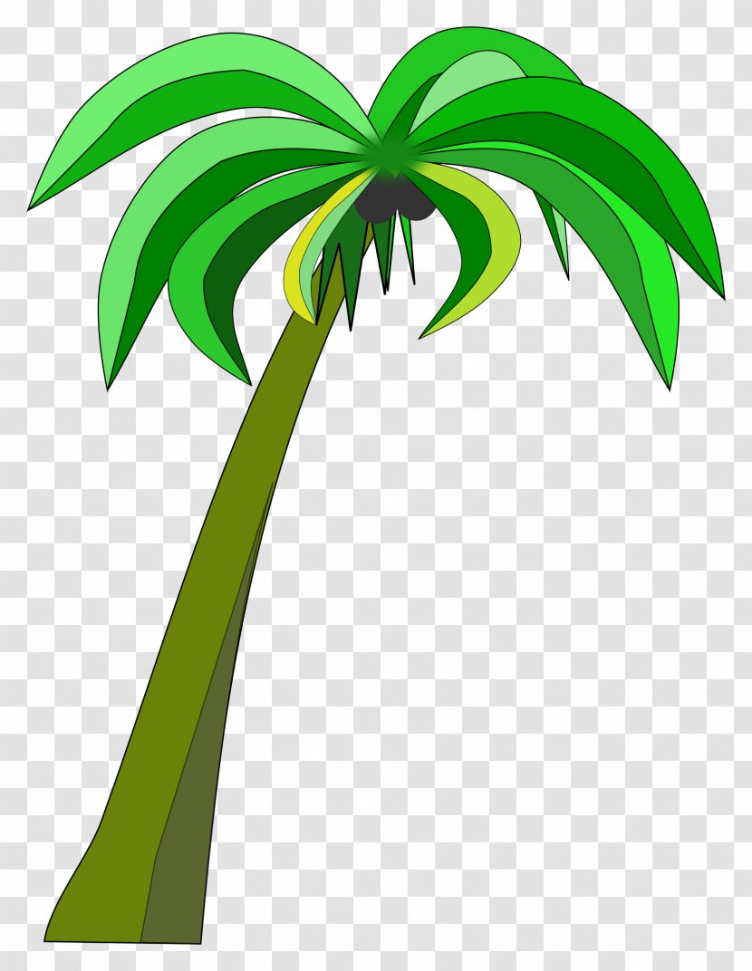 Coconut Arecaceae Clip Art - Green - Palm Tree Transparent PNG