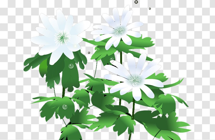 Chrysanthemum Flower Euclidean Vector Leaf Transparent PNG