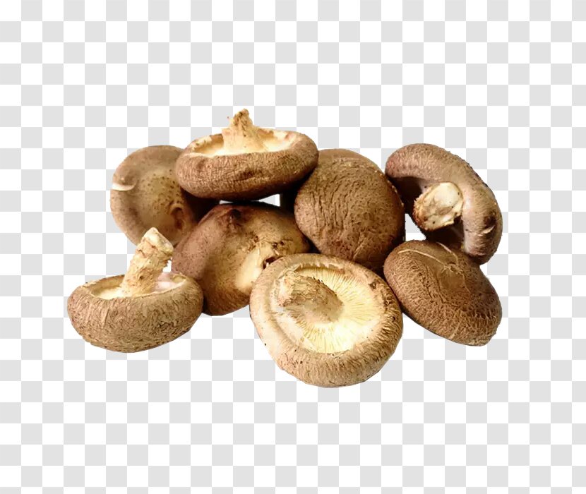 Shiitake Hot Pot Oyster Mushroom Vegetable - Enokitake - Bunch Of Mushrooms Transparent PNG