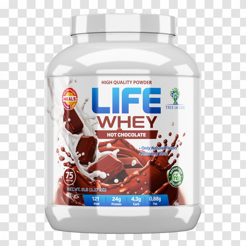 Milkshake Protein Bodybuilding Supplement Whey Casein - Chocolate Transparent PNG