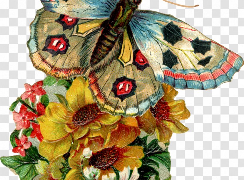 Butterfly Wedding Invitation Birthday Clip Art - Flower Transparent PNG
