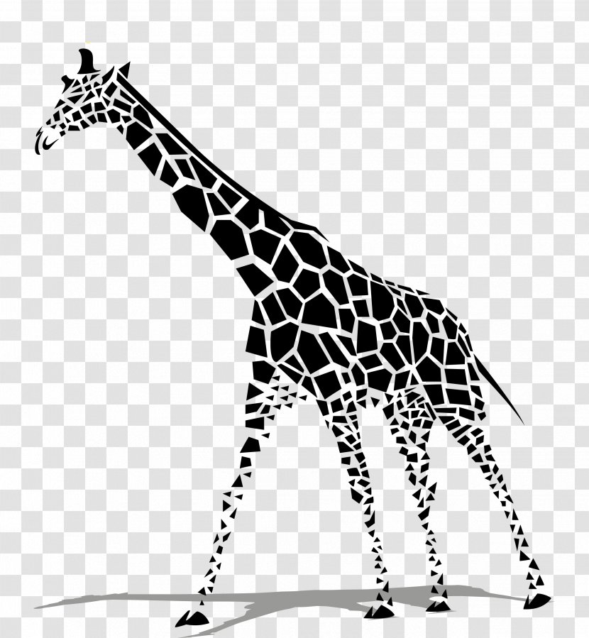 Giraffe Euclidean Vector Clip Art - Giraffidae - Black Zebra Transparent PNG