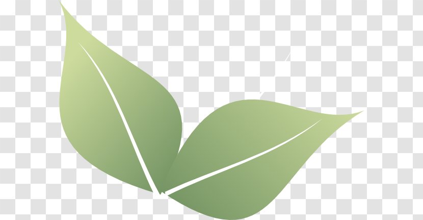 Leaf Clip Art - Corner Transparent PNG