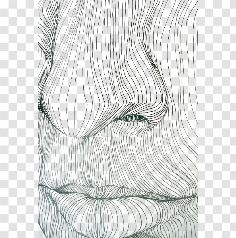 Contour Drawing Line Art - Nose And Mouth Lines Transparent PNG