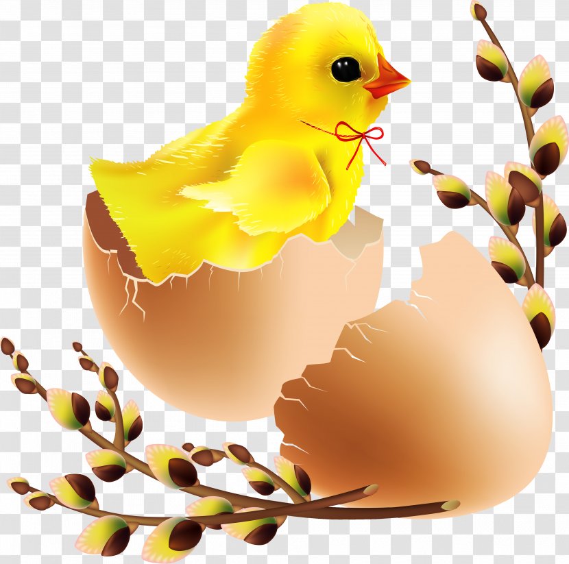 Royalty-free Clip Art - Stock Photography - Egg Transparent PNG