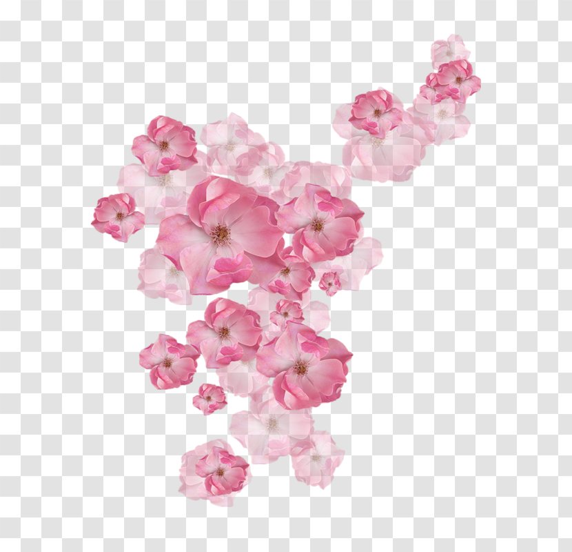 Rose Clothing Flower Fashion - Crop Top Transparent PNG