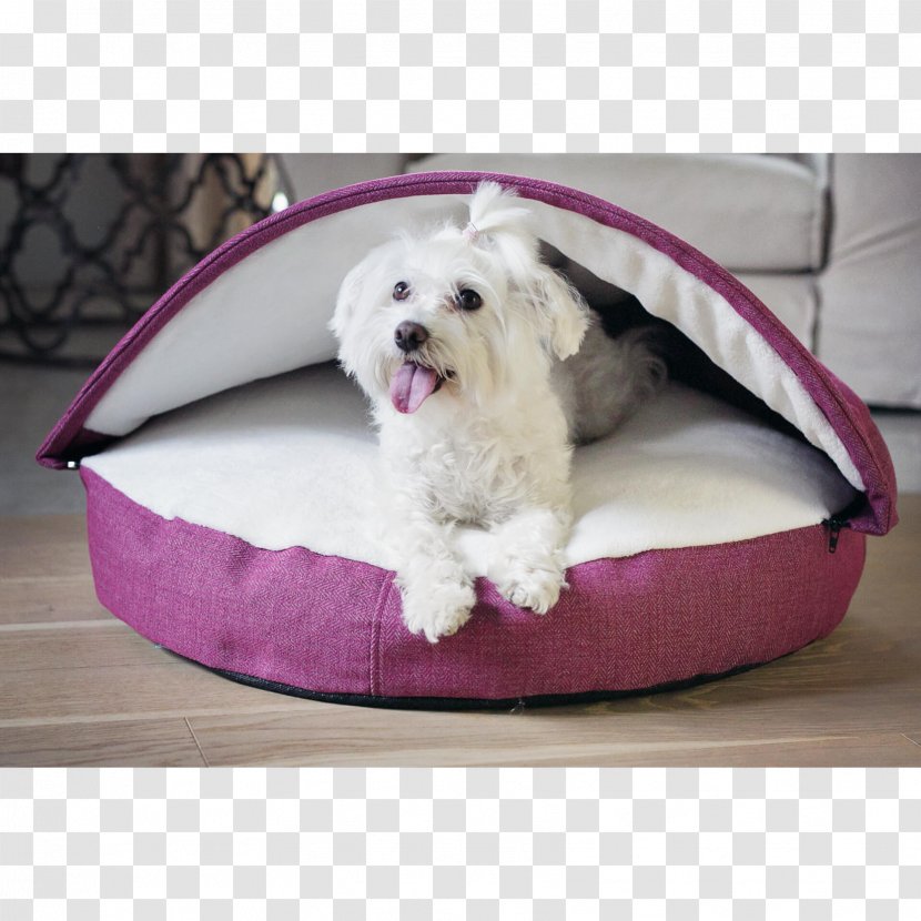 Bolster Bread Pan Dog Breed Maltese Bed - Puppy Transparent PNG