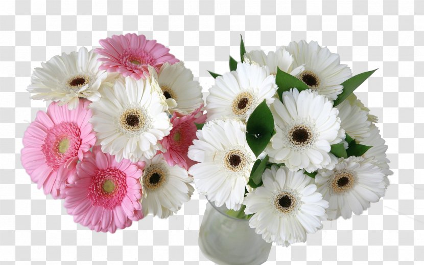 Transvaal Daisy Flower Bouquet Desktop Wallpaper Environment - Family - Blossoms Transparent PNG