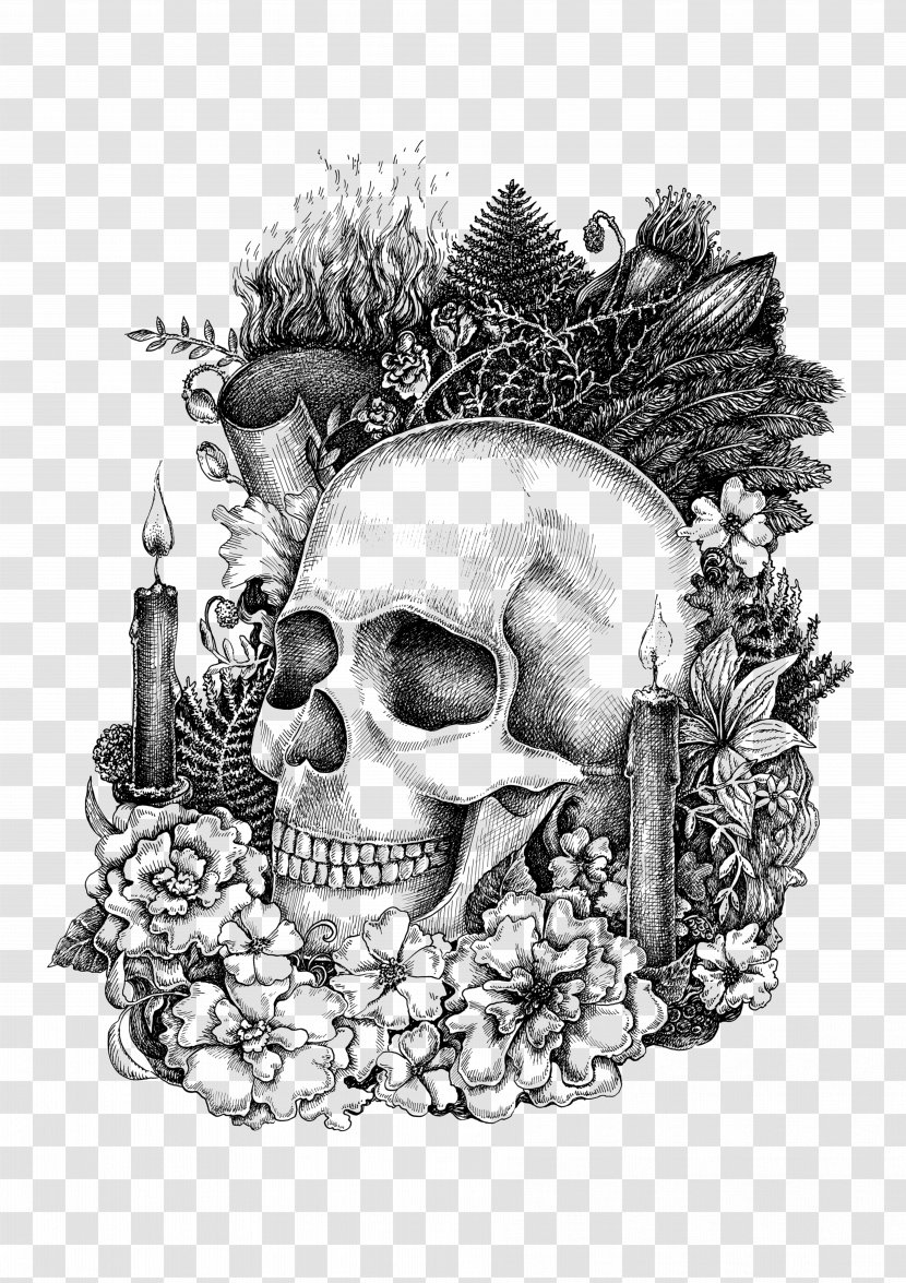 Drawing Memento Mori Art - Design Transparent PNG