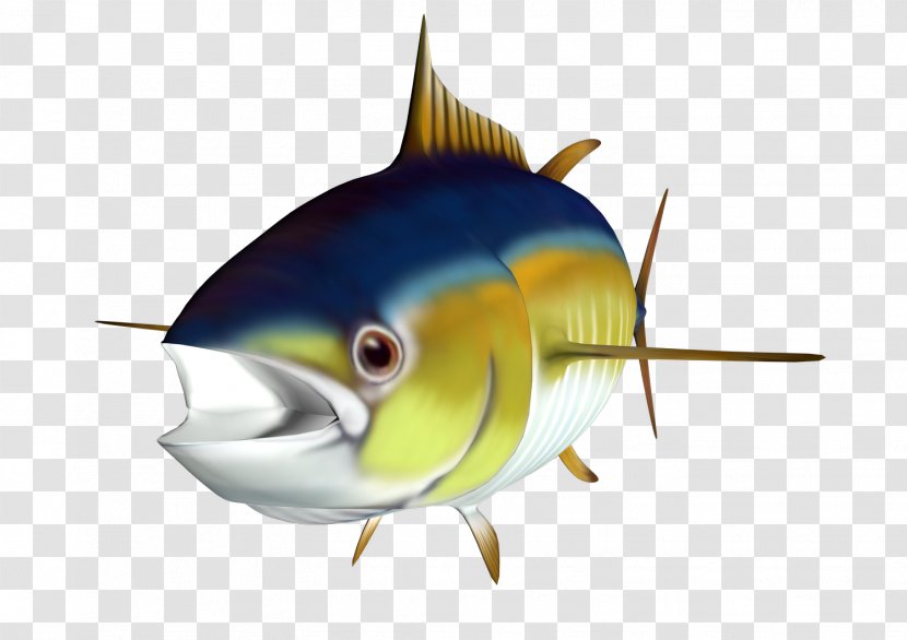 Albacore Fish Clip Art - Tuna Transparent PNG