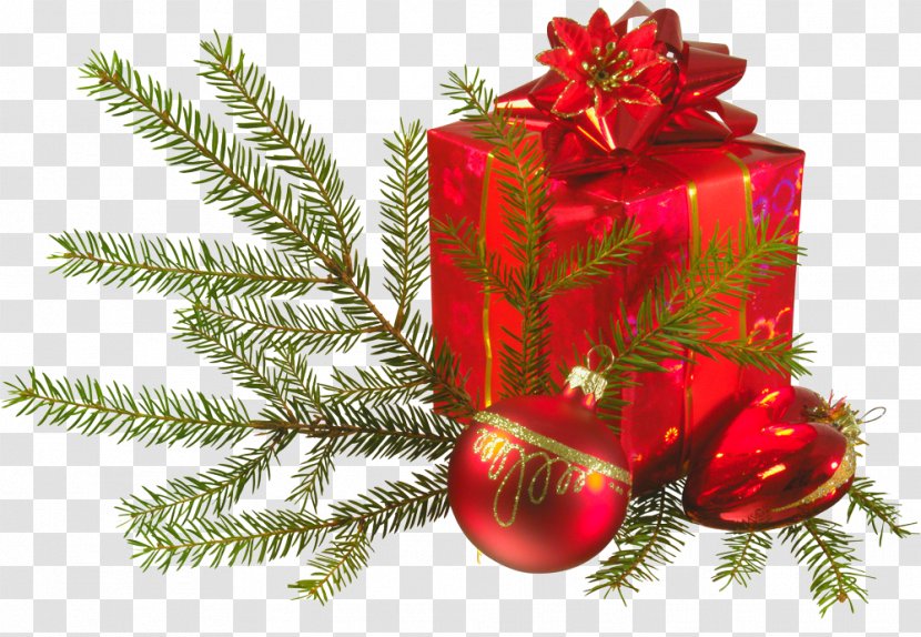 Christmas Ornament Gift-bringer Santa Claus - Conifer - Reunion Transparent PNG