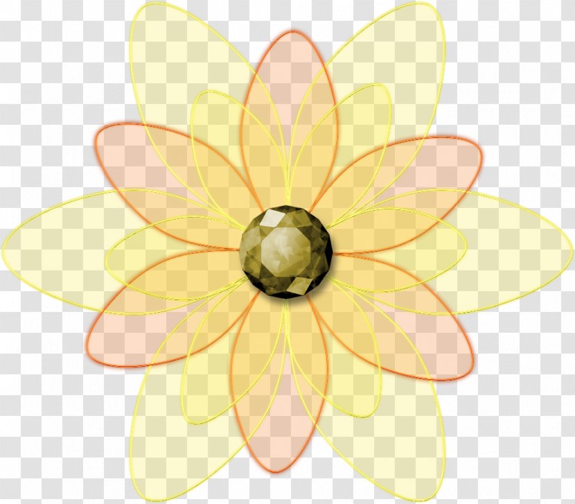 Floral Design Pattern Insect Symmetry - Flora - Flowering Plant Transparent PNG