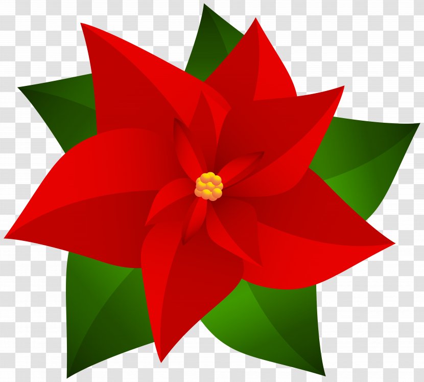 Poinsettia Christmas Clip Art - Digital Image Transparent PNG