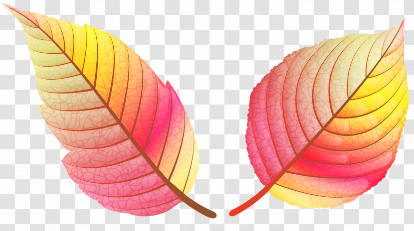 Clip Art Image Leaf Openclipart - Autumn Transparent PNG