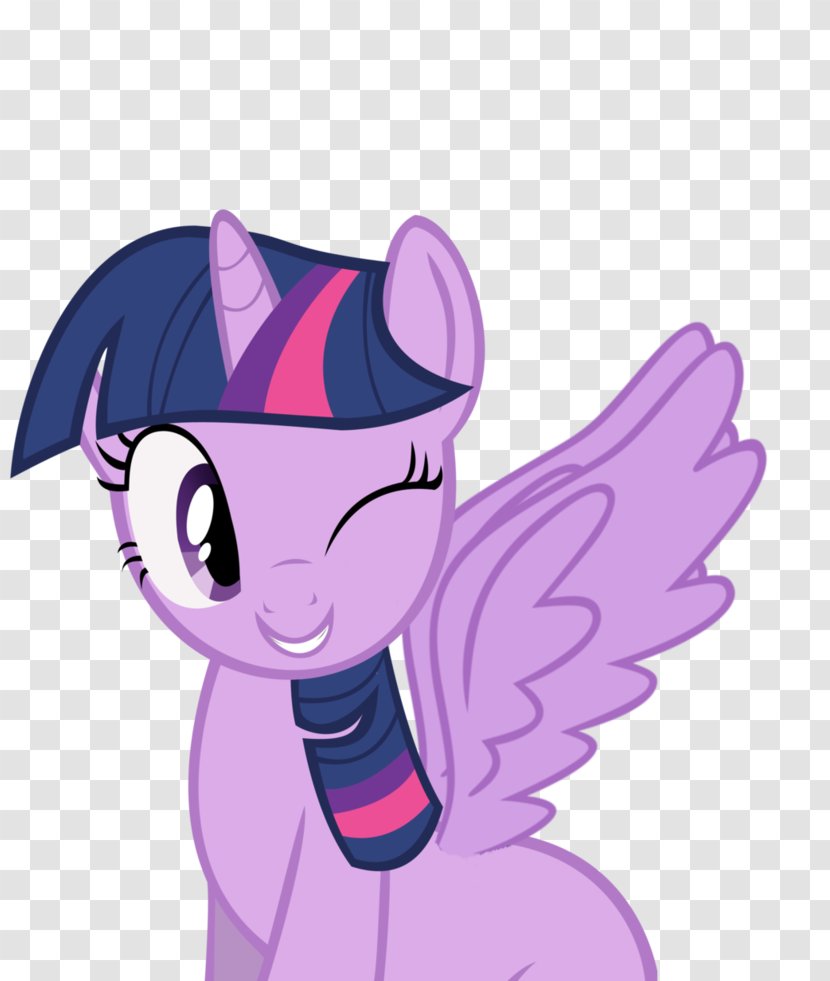 Twilight Sparkle Pony Princess Cadance Rarity Celestia - Heart Transparent PNG
