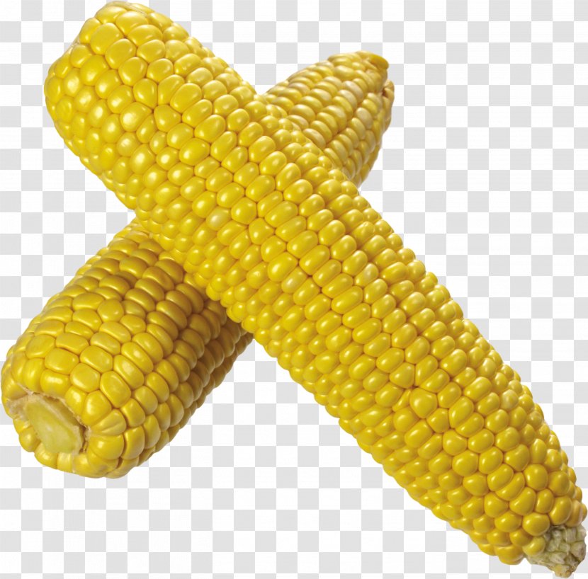 Corn On The Cob Popcorn Flint Sweet - Maize Transparent PNG