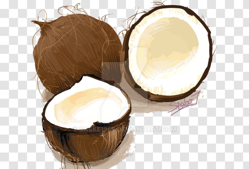 Drawing Coconut DeviantArt - Cup Transparent PNG