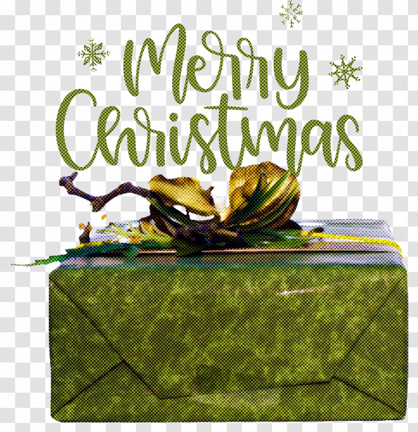 Merry Christmas Christmas Day Xmas Transparent PNG