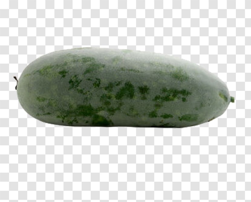 Cucumber Wax Gourd Melon - Jade - A Transparent PNG