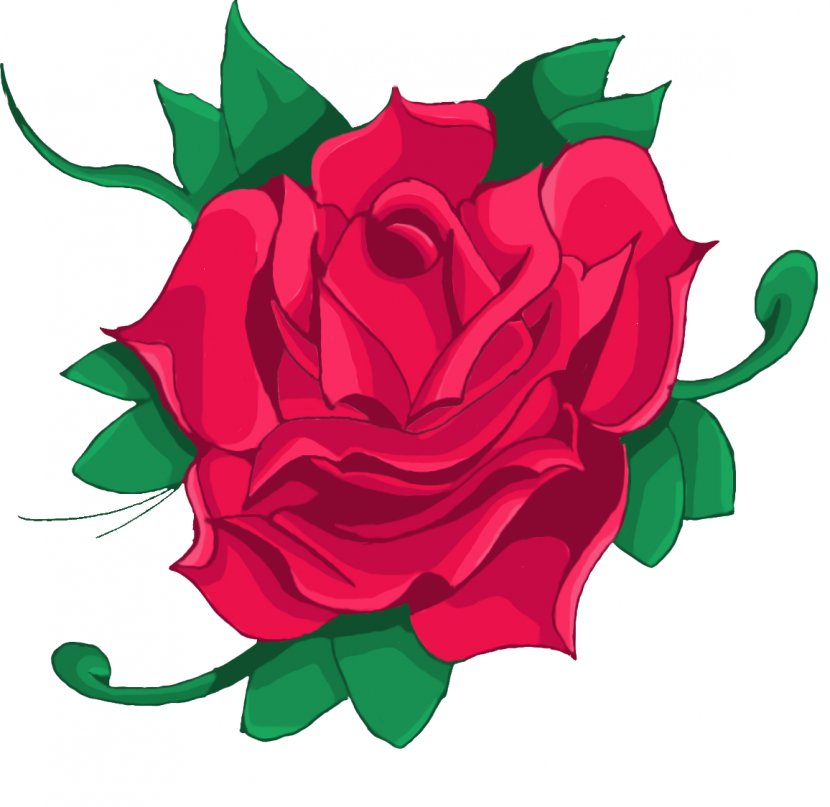 Pink Rose Red Drawing Green - Seed Plant - VETORES Transparent PNG