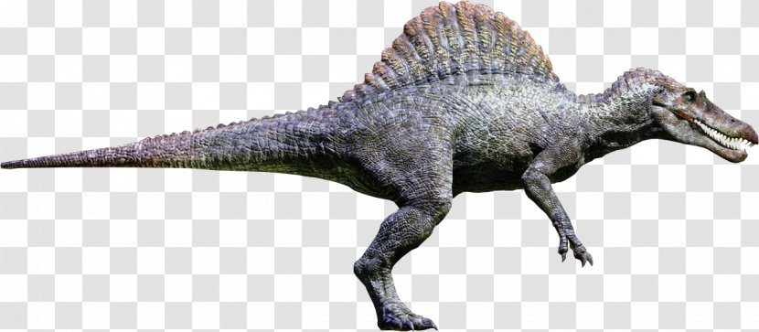 Spinosaurus Tyrannosaurus Giganotosaurus Ankylosaurus Carcharodontosaurus - Animal Figure Transparent PNG