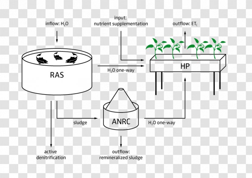 Aquaponics Hydroponics Agriculture Farm Document - Graphic Transparent PNG