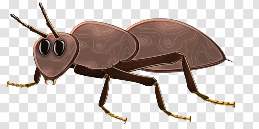Ant Cartoon - Hoodie - Termite Animal Figure Transparent PNG