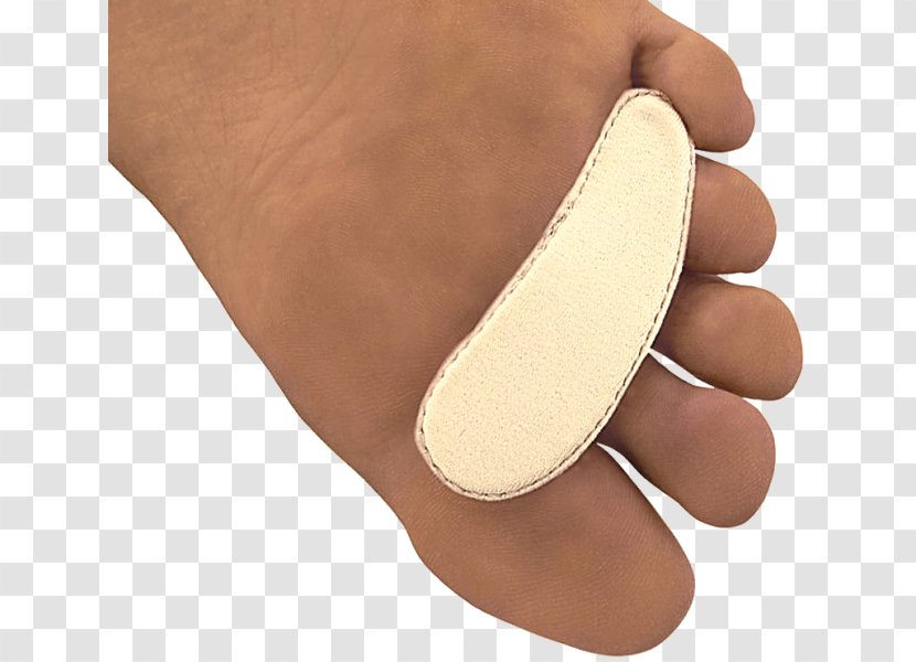 Toe Shoe - Foot - Design Transparent PNG