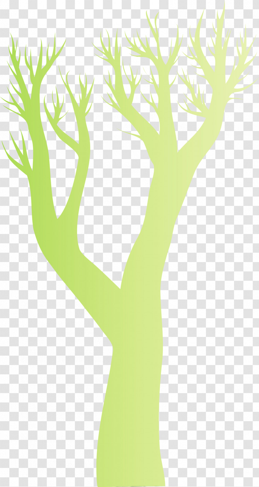 Green Tree Yellow Branch Leaf Transparent PNG