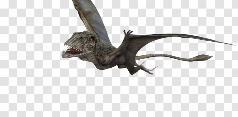 Dimorphodon Pteranodon Velociraptor Pterosaurs Jurassic Park - Fictional Character - COCODRILO Transparent PNG
