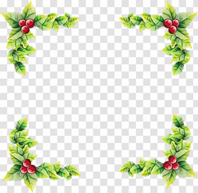 Picture Frame - Holly - Fir Pine Family Transparent PNG