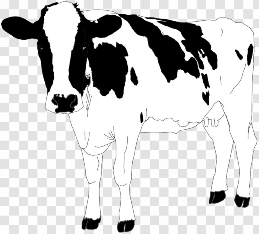 Dairy Cattle Jersey Taurine Highland Calf - Bull Transparent PNG