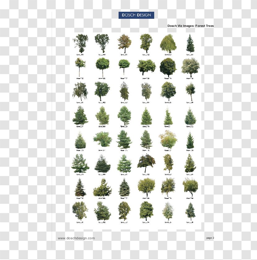 Paint Tool SAI Image Vector Graphics Illustration - Flora - Isometric Tree Transparent PNG