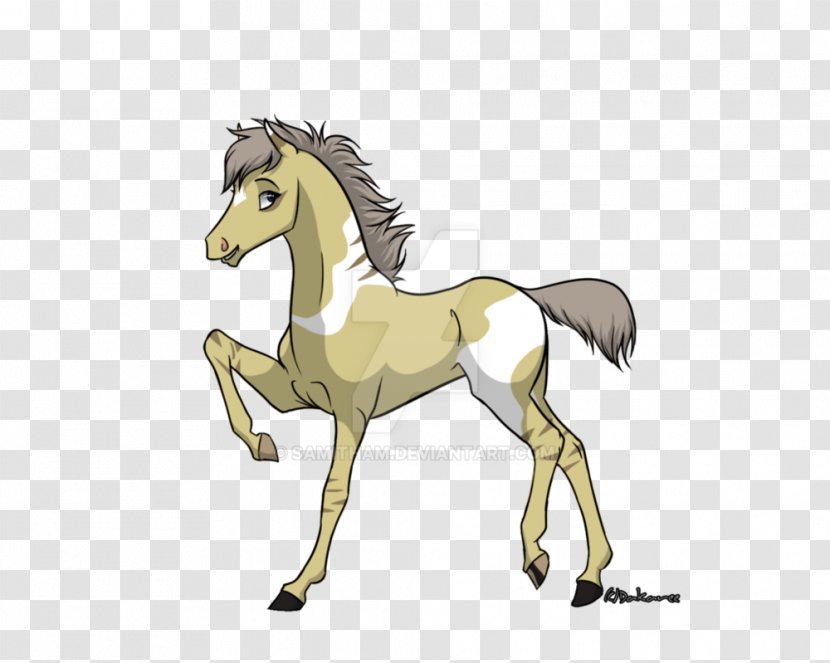 Mustang Foal Colt Stallion Halter - Cartoon Transparent PNG