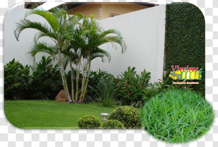 Garden Lawn Landscape Architecture Nursery Landscaping - Hairs Transparent PNG