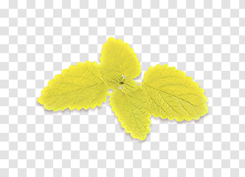 Yellow Leaf Flower Plant Petal - Cartoon - Herbaceous Transparent PNG