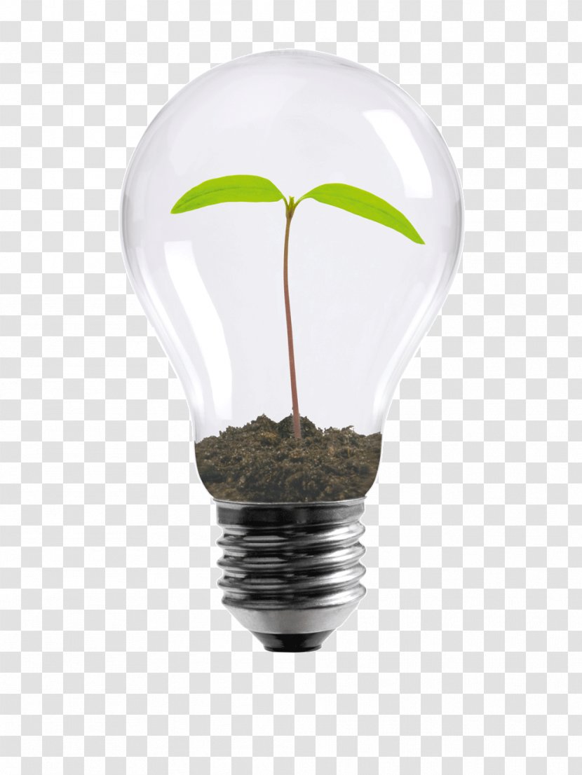 Incandescent Light Bulb Grow Business Organization Transparent PNG
