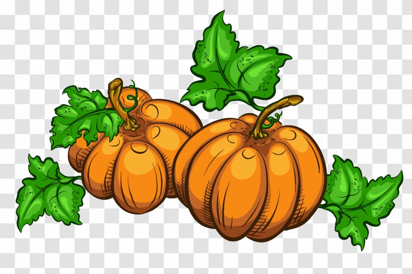 Thanksgiving Day Animation Wish - Pumpkin Transparent PNG