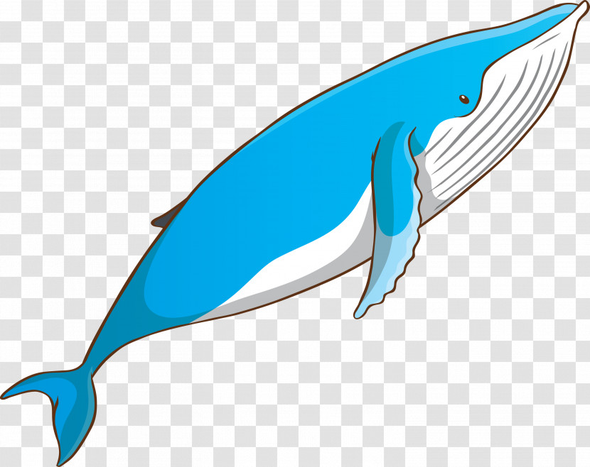 Fin Fish Bottlenose Dolphin Blue Whale Cetacea Transparent PNG