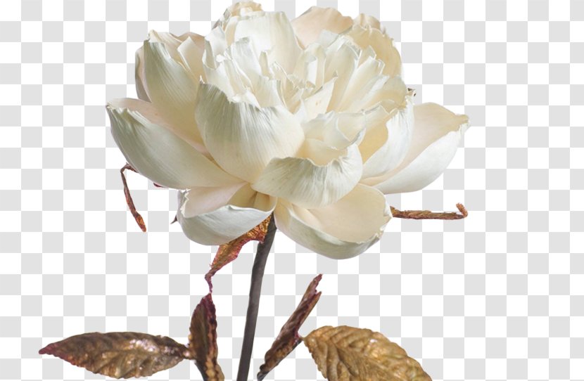 Paper Cut Flowers Tierra D'ete Flower Artificial - Tulip - White Transparent PNG