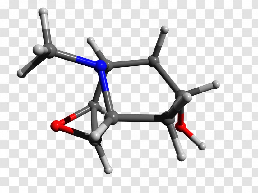 Scopine Tropane Alkaloid Wikipedia Enciclopedia Libre Universal En Español Encyclopedia - Mandragora Transparent PNG
