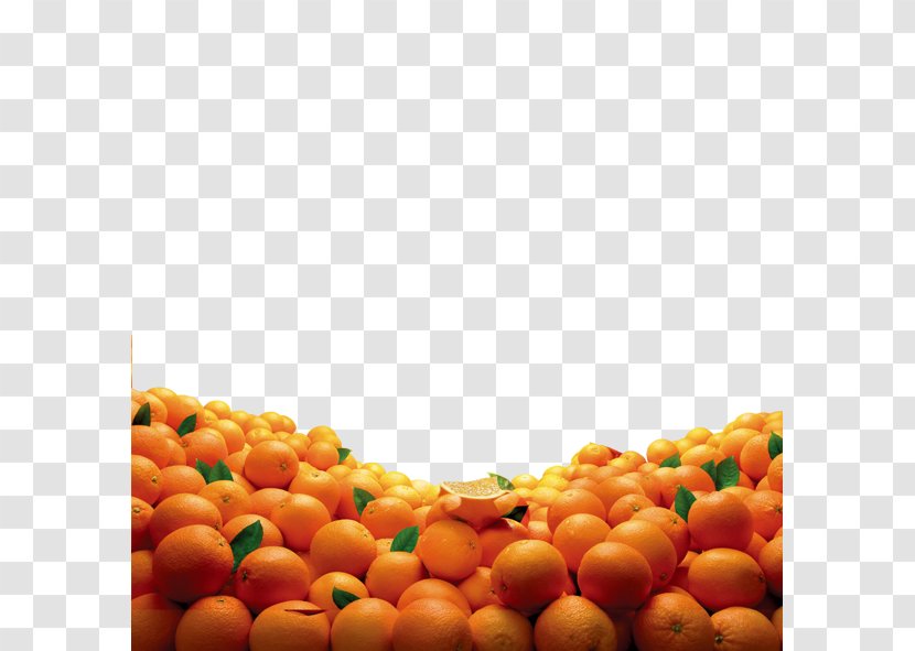 Juice Clementine Mandarin Orange Fruit - Designer Transparent PNG