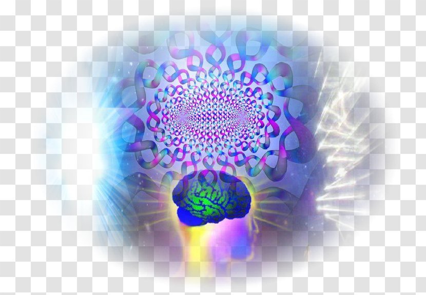 Consciousness Chokhmah Tree Of Life Binah Human Brain - Symmetry - Fylfot Transparent PNG