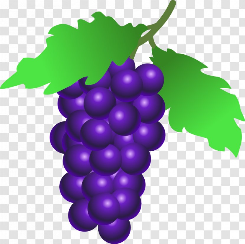Common Grape Vine Wine Grappa Berry - Purple Grapes Cliparts Transparent PNG