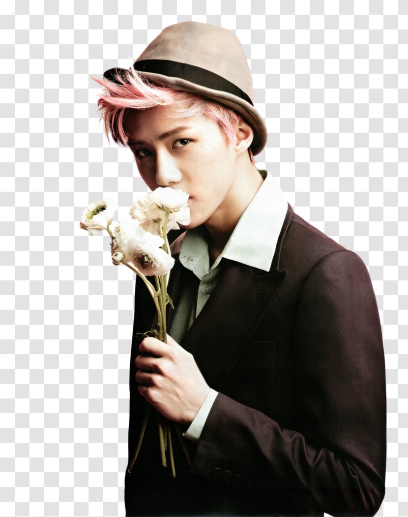 M Countdown EXO K-pop Actor Power - Tao Transparent PNG