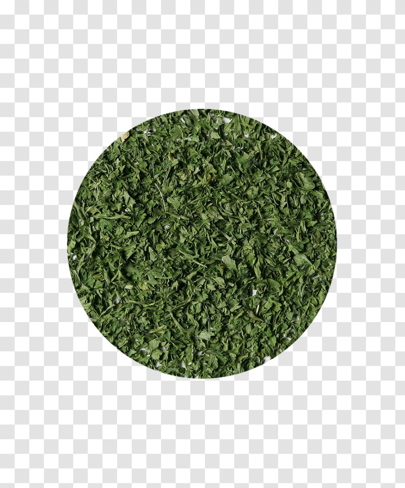 Organic Food Herb Parsley Certification Thyme - Basil Transparent PNG