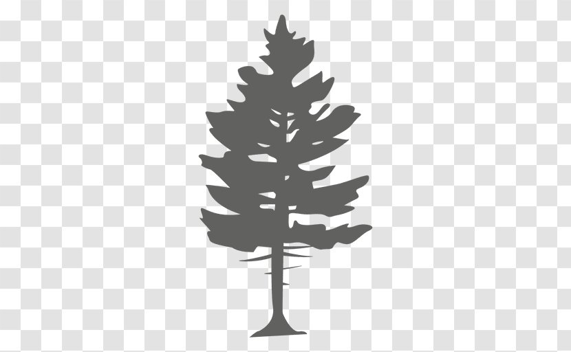 Pine Tree Conifers Spruce - Christmas Ornament - Vector Transparent PNG