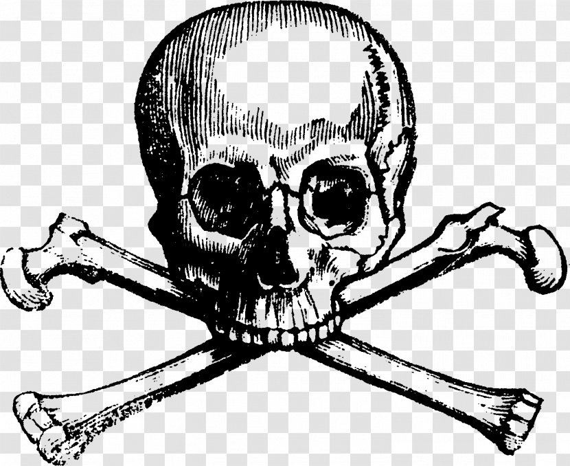 Skull And Bones Crossbones Human Symbolism - Watercolor Transparent PNG